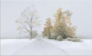 Autumn Snowfall AP (Hand Embellished) by Alexander Volkov