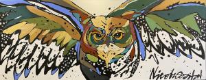 Finding my Groove by Nicole Gaitan