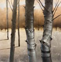 Silver Aspen I by Peter Colby Myer