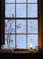 Winter Window by Alexander Volkov